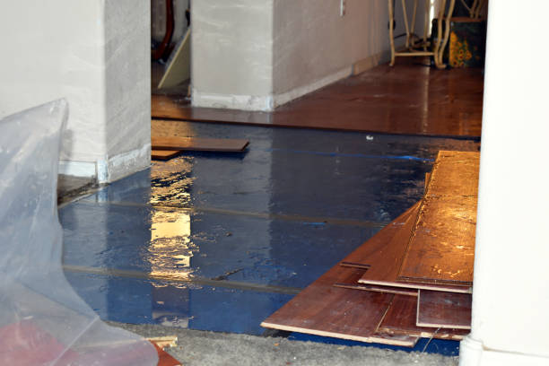Professional Water Damage Restoration technician working in Orting, WA